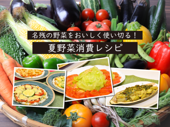 夏野菜消費レシピ