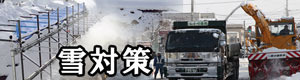 雪対策