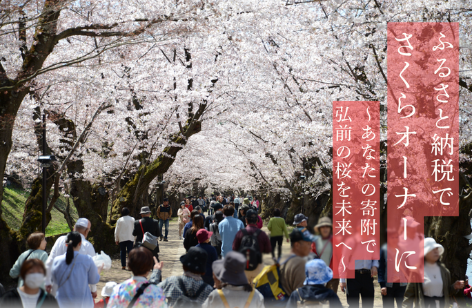 さくらオーナーバナー