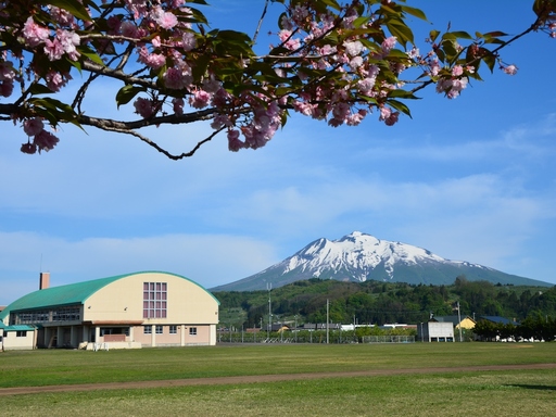 相馬小学校からの岩木山