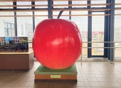 大きいりんごオブジェ