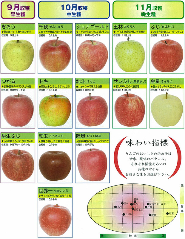 各種りんごの写真と味わい指標図