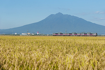 岩木山と田園風景