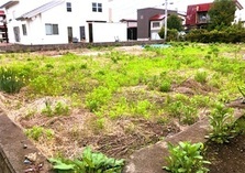 空き地外観