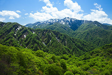 白神山地