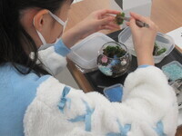 こども苔テラリウム教室