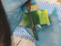 こどもつがるぬり教室