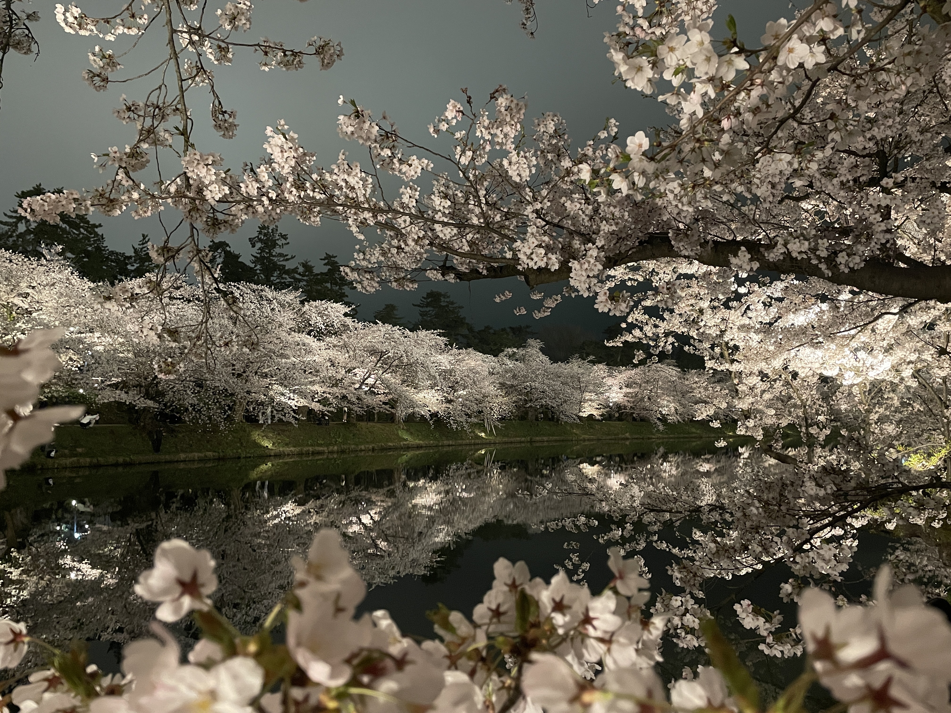 西濠（夜）（3）