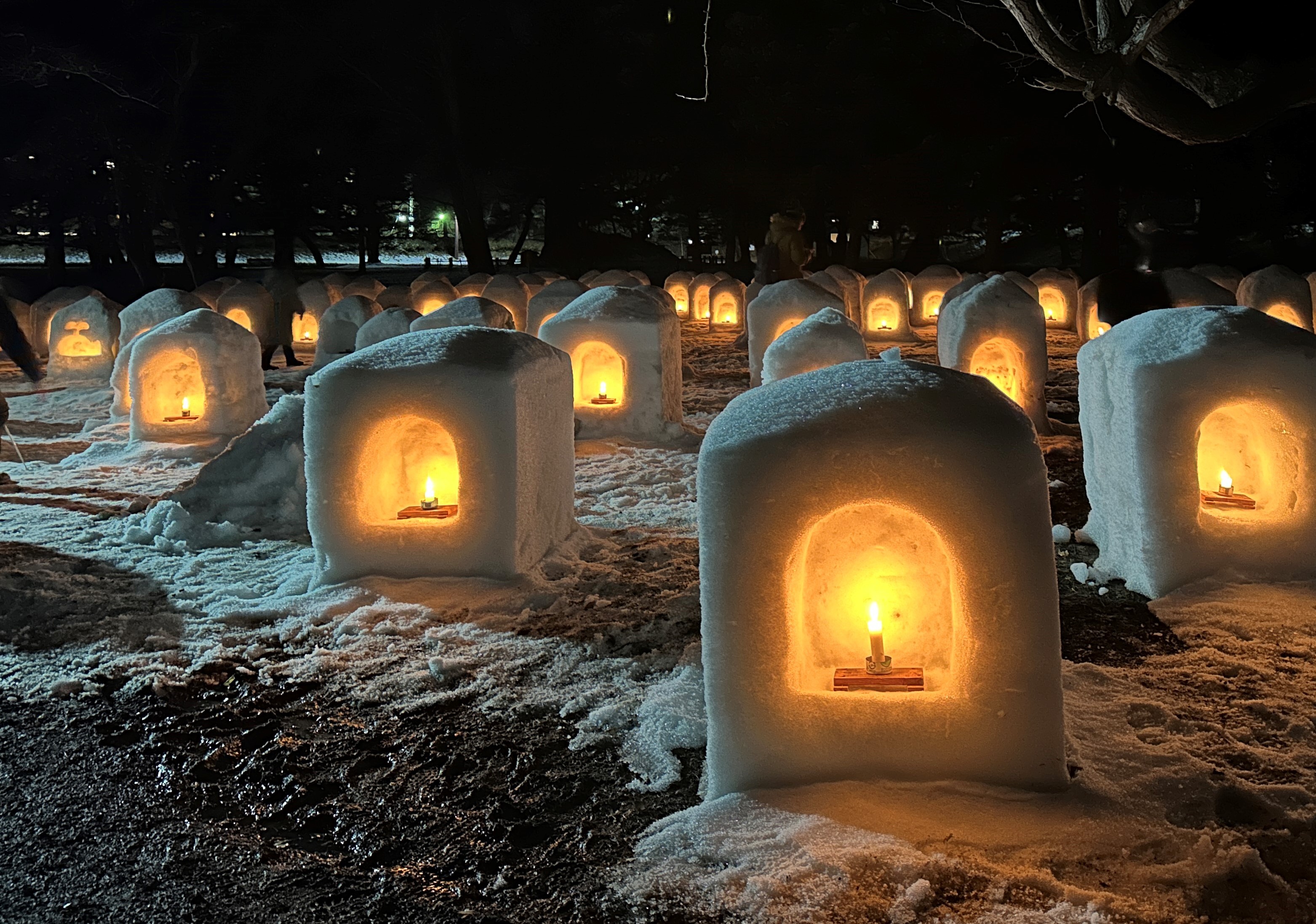 弘前城雪燈籠まつり⑯
