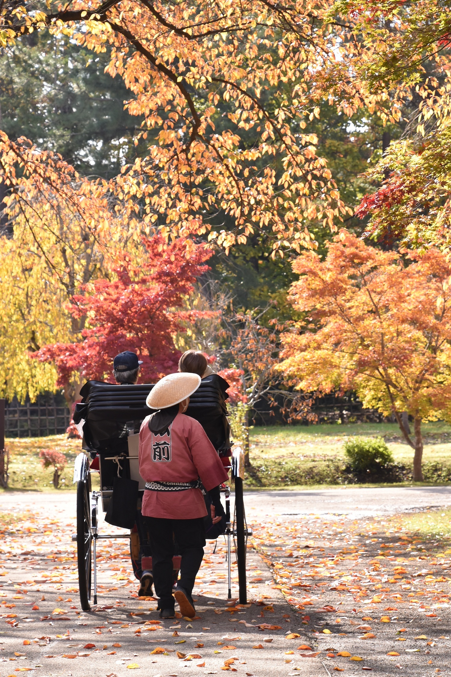 弘前城菊と紅葉まつり20