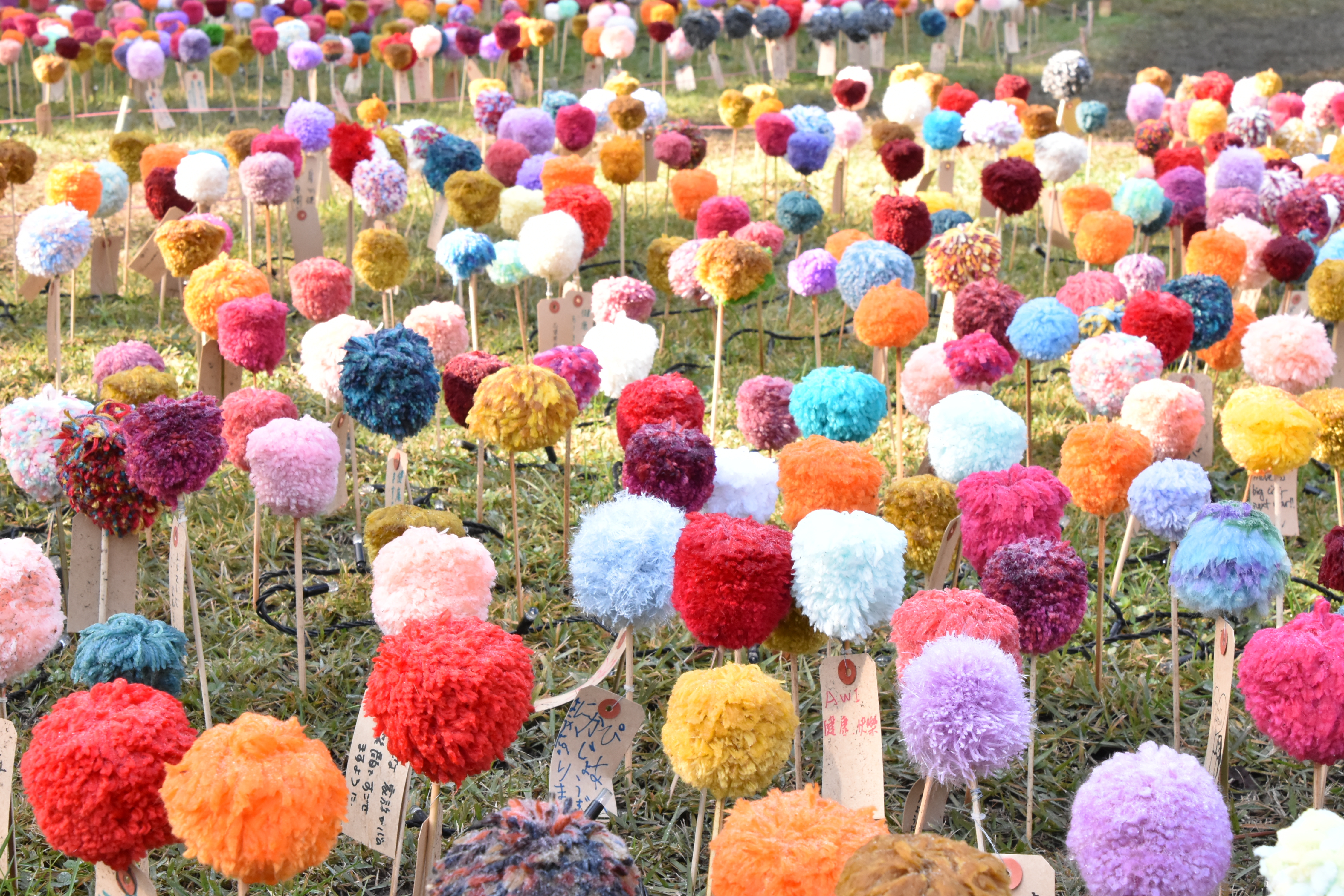 弘前城菊と紅葉まつり14