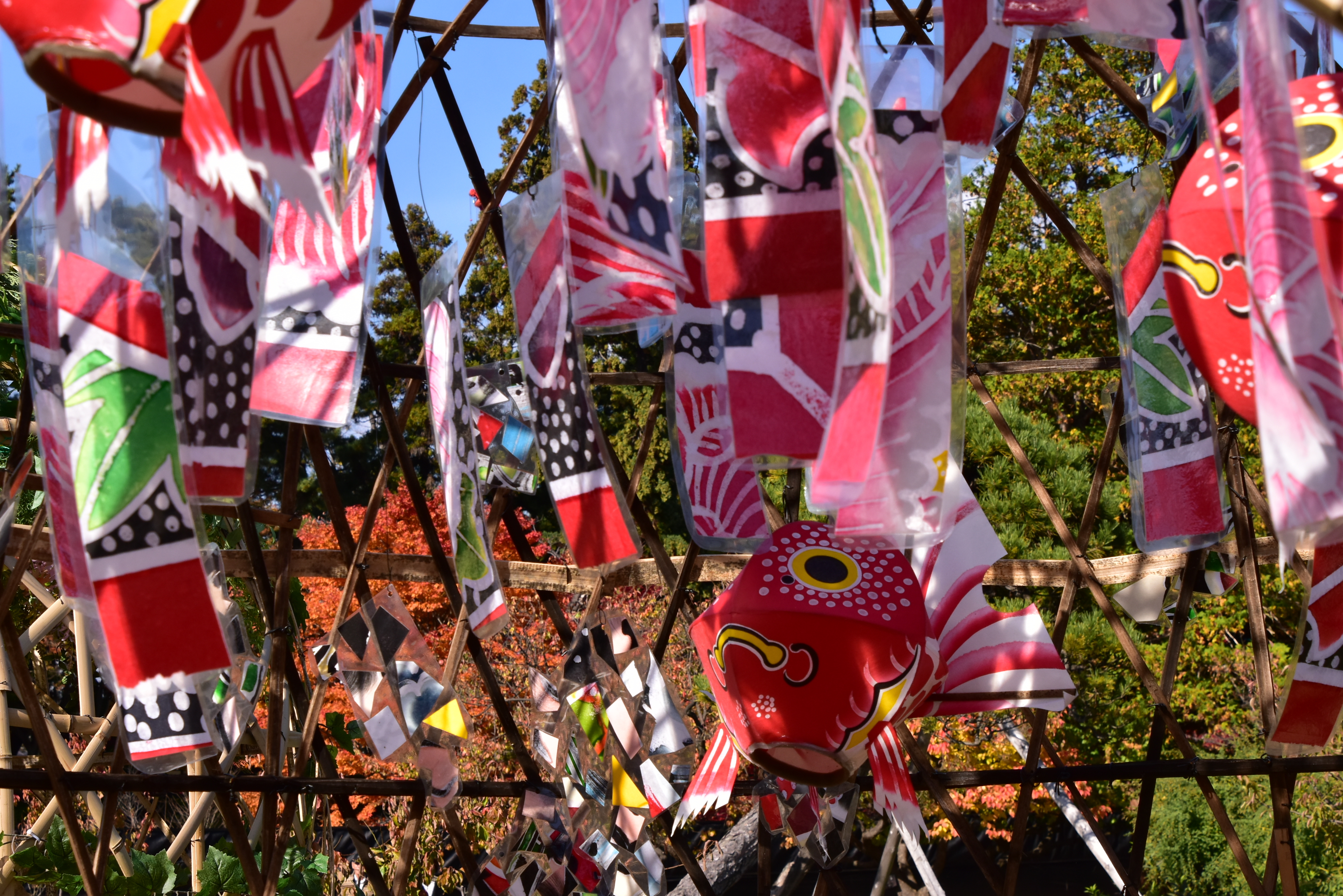 弘前城菊と紅葉まつり13