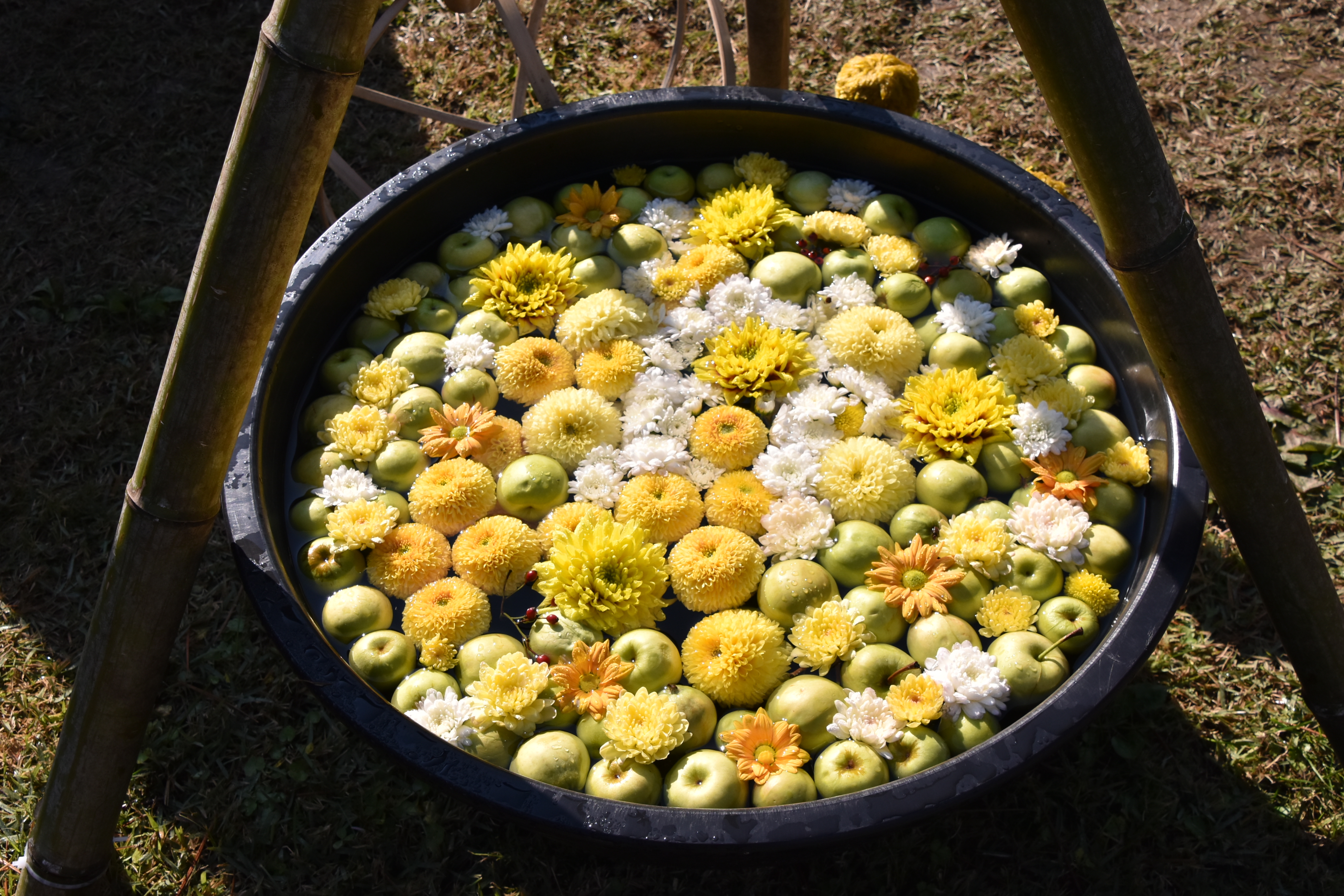 弘前城菊と紅葉まつり12