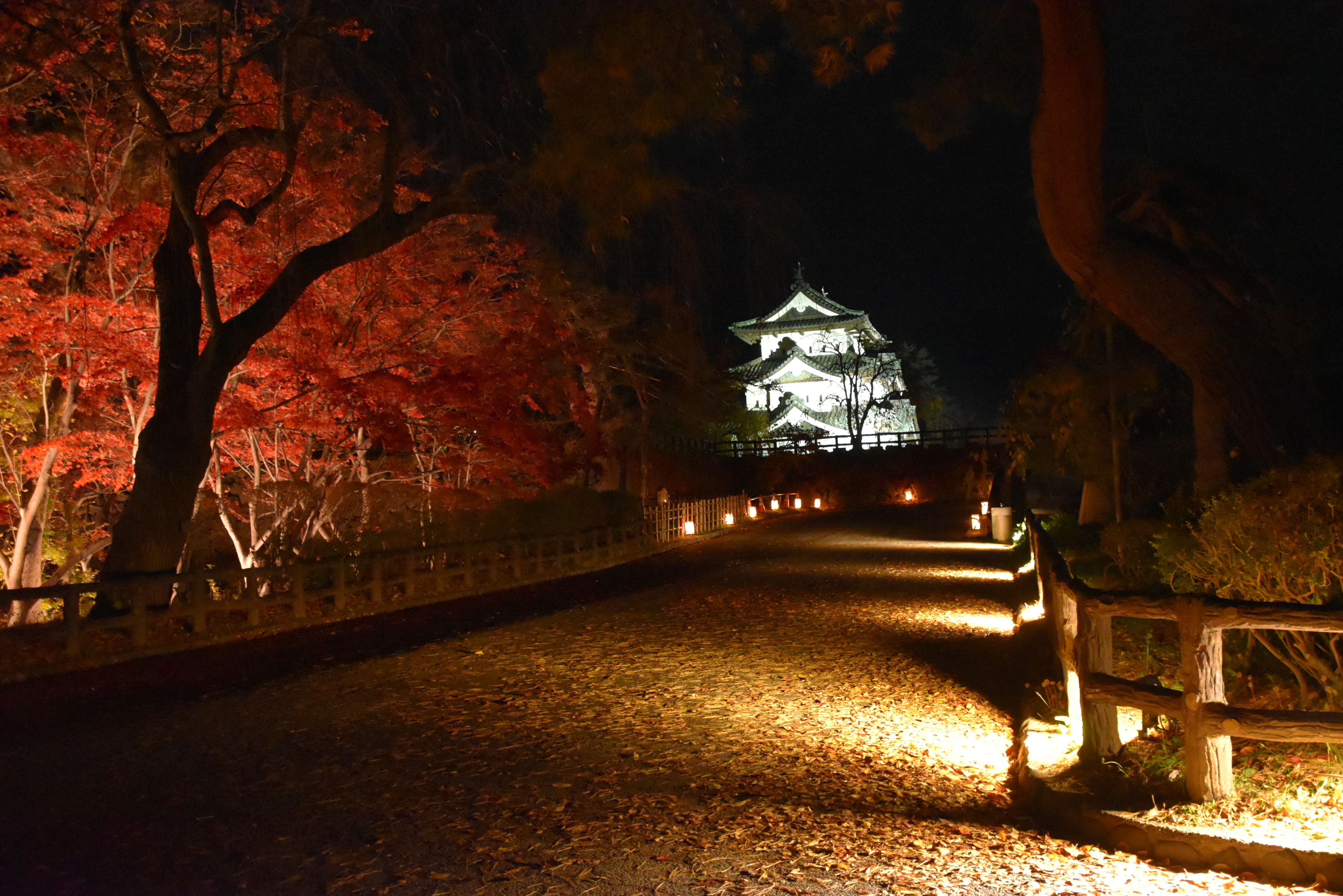 弘前城菊と紅葉まつり8