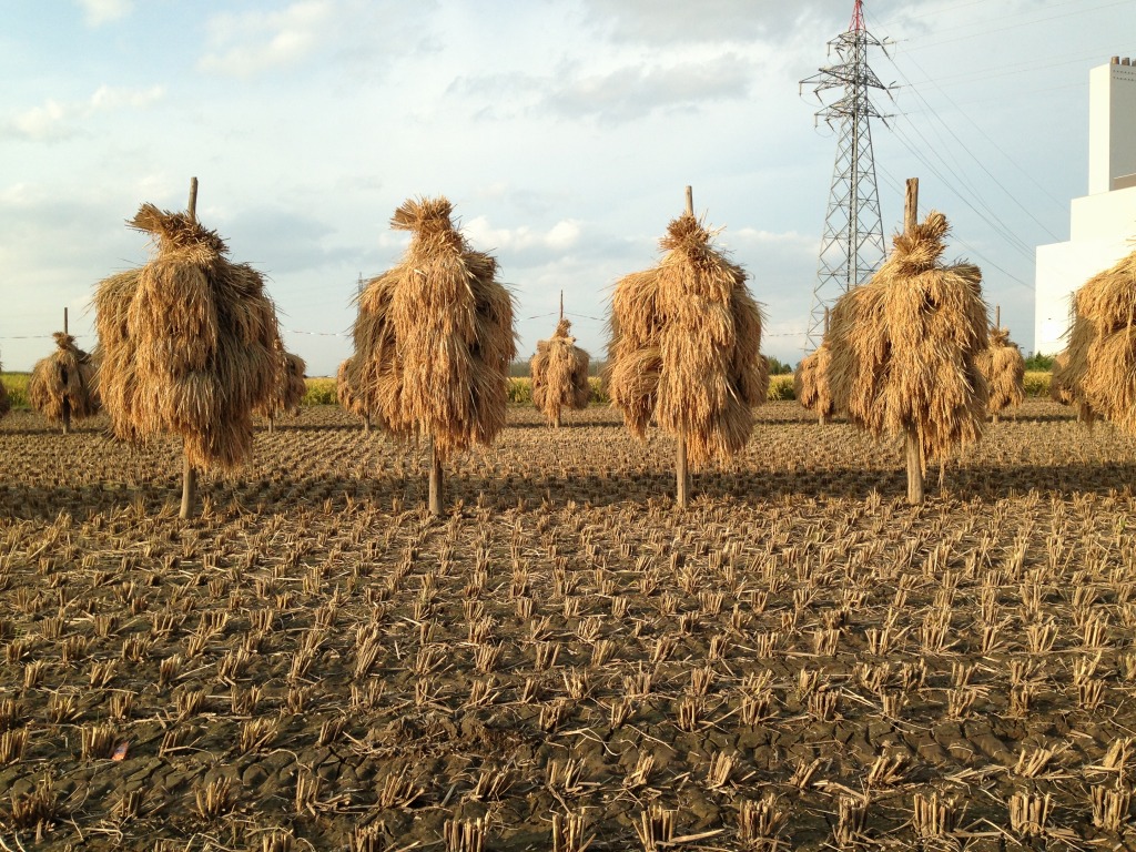 Evernote Camera Roll 20130925 182721.jpg