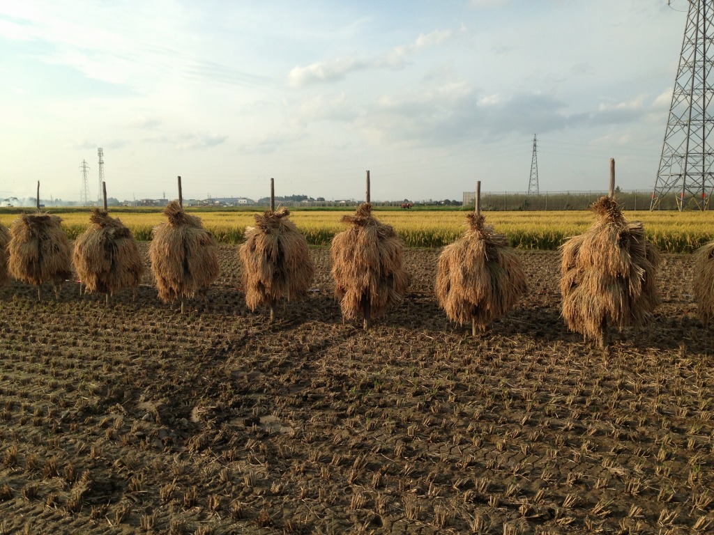 Evernote Camera Roll 20130925 182758.jpg