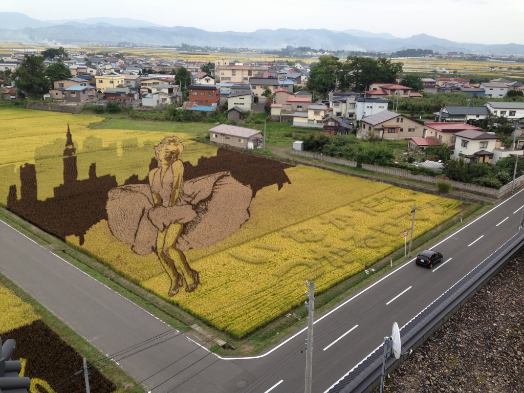 Evernote Camera Roll 20130925 183519.jpg