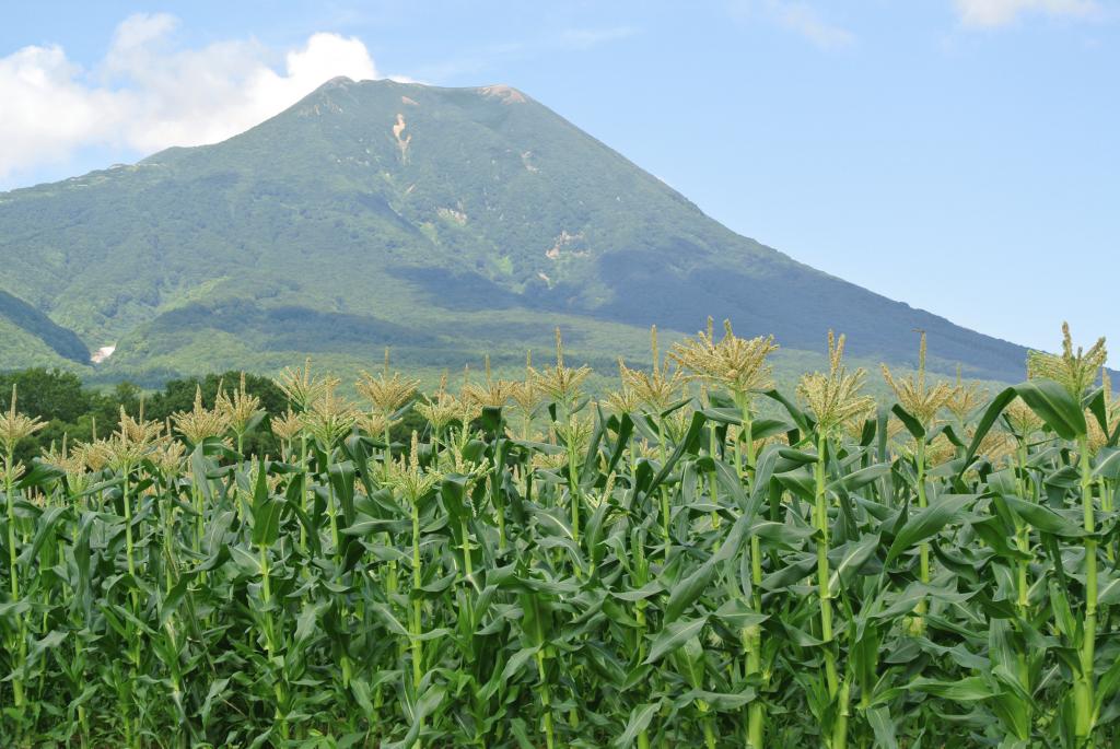 mt.iwaki.JPG