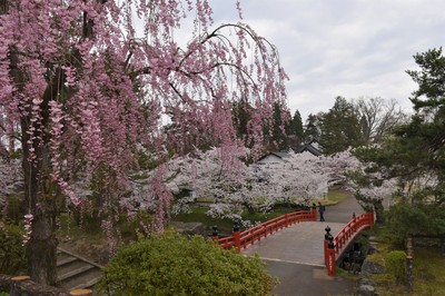 20220422_0059.jpg