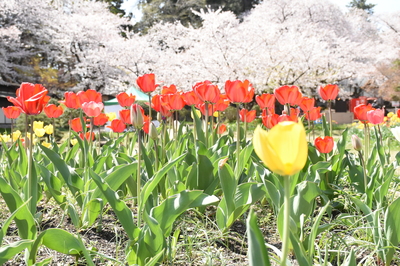 DSC_00220.jpg