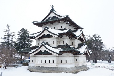 留学生インターンシップによる「雪吊りと頭飾り」の取材記事(2026.1.19)