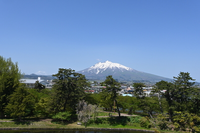 DSC_2006.jpg