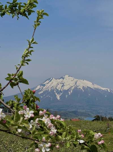 IMG0214.jpg