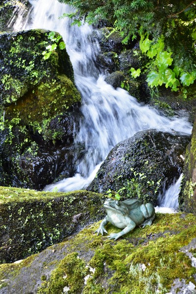 DSC_0050.jpg