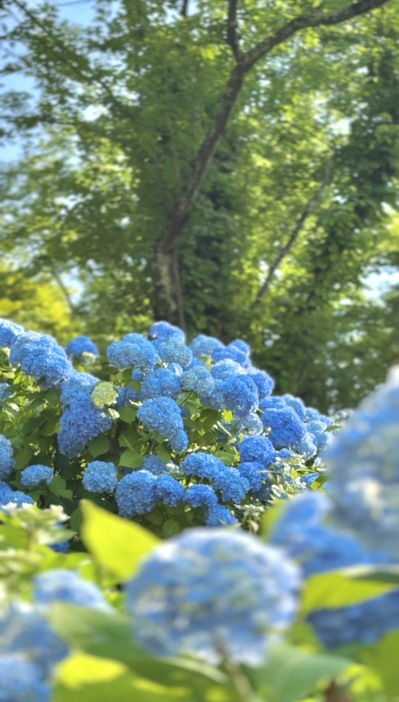 260710_3.jpg