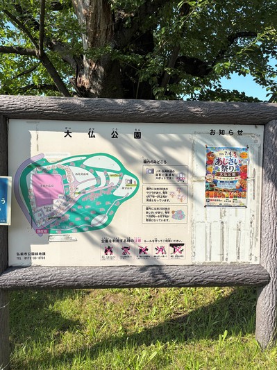 260710_6.jpg