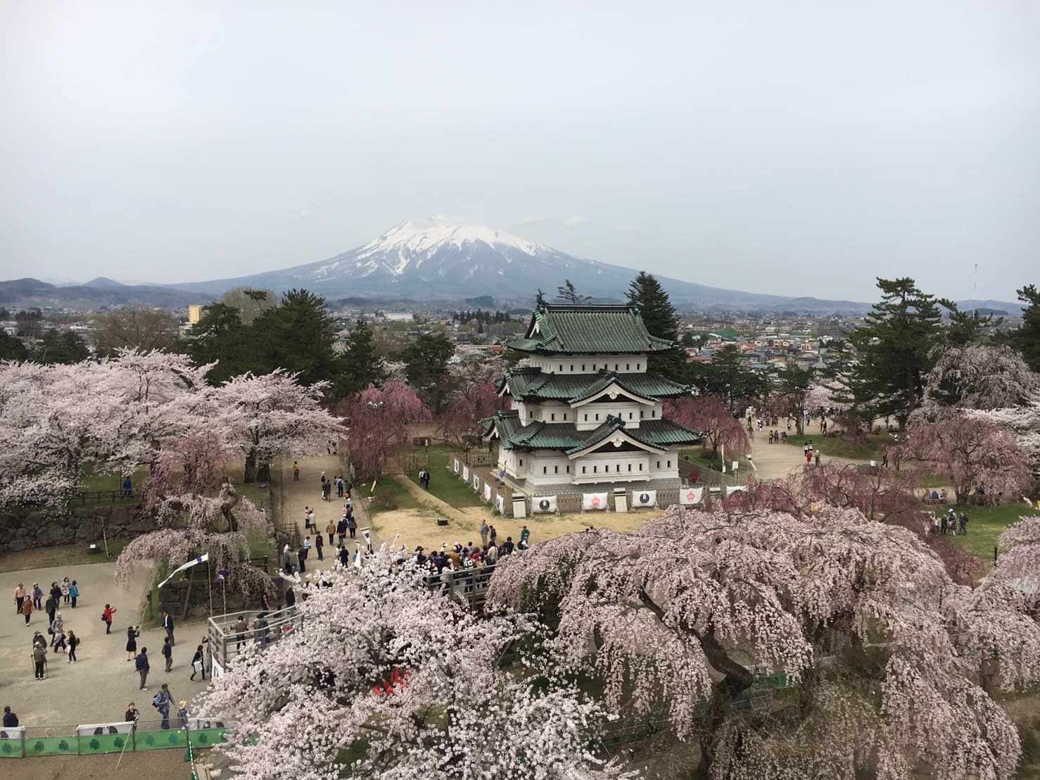満開の桜と弘前城と岩木山