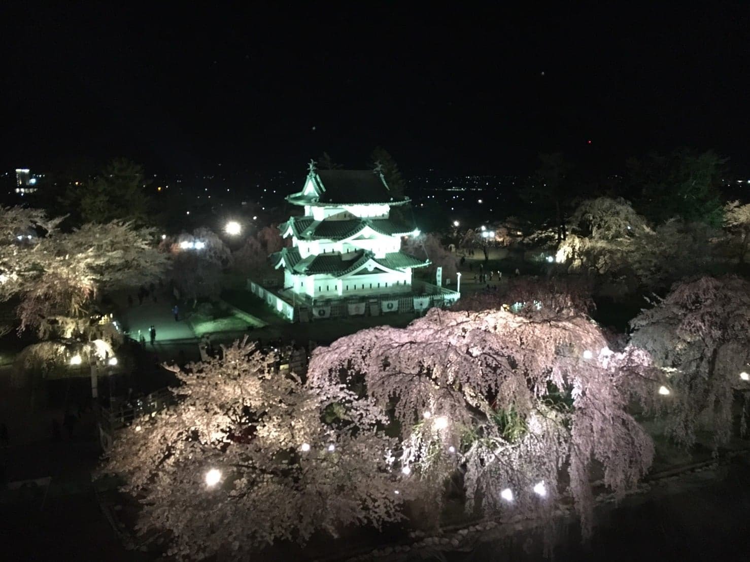夜桜と弘前城天守