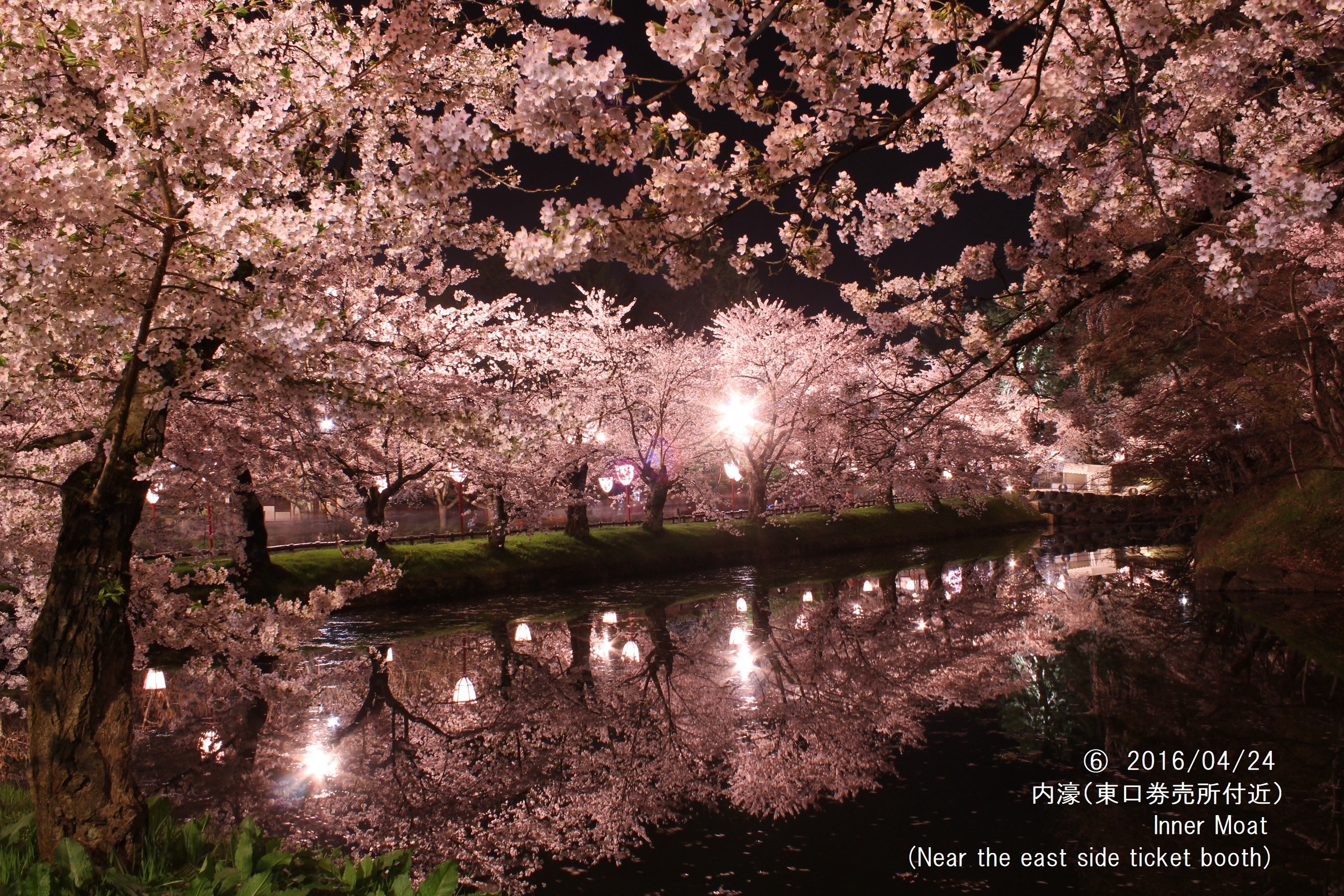 弘前公園の夜桜が「日本夜景遺産」に認定（20.07.22） - いいかも
