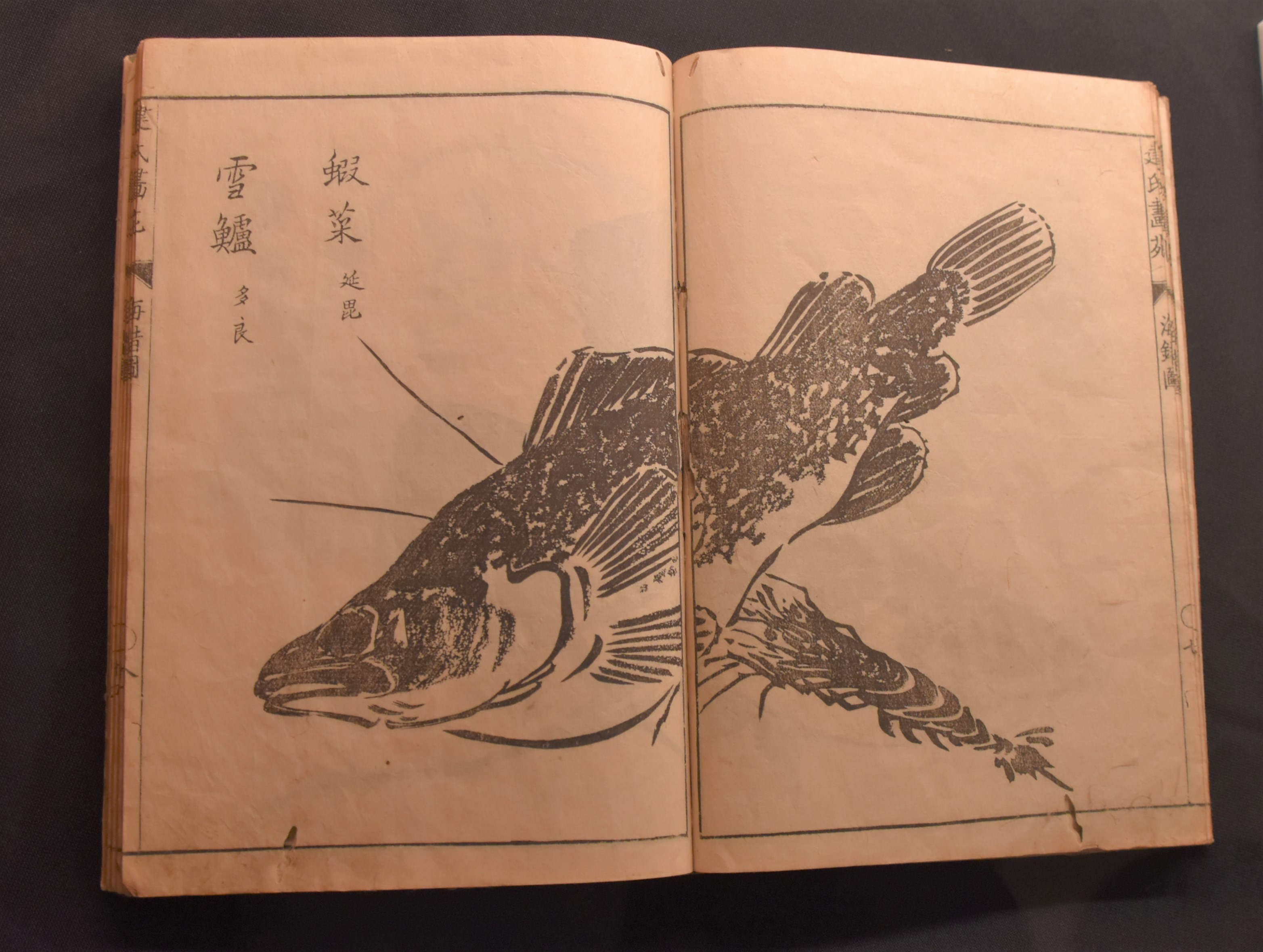 弘前市立博物館企画展「いのちなりけり 没後250年 建部綾足」（2024.12