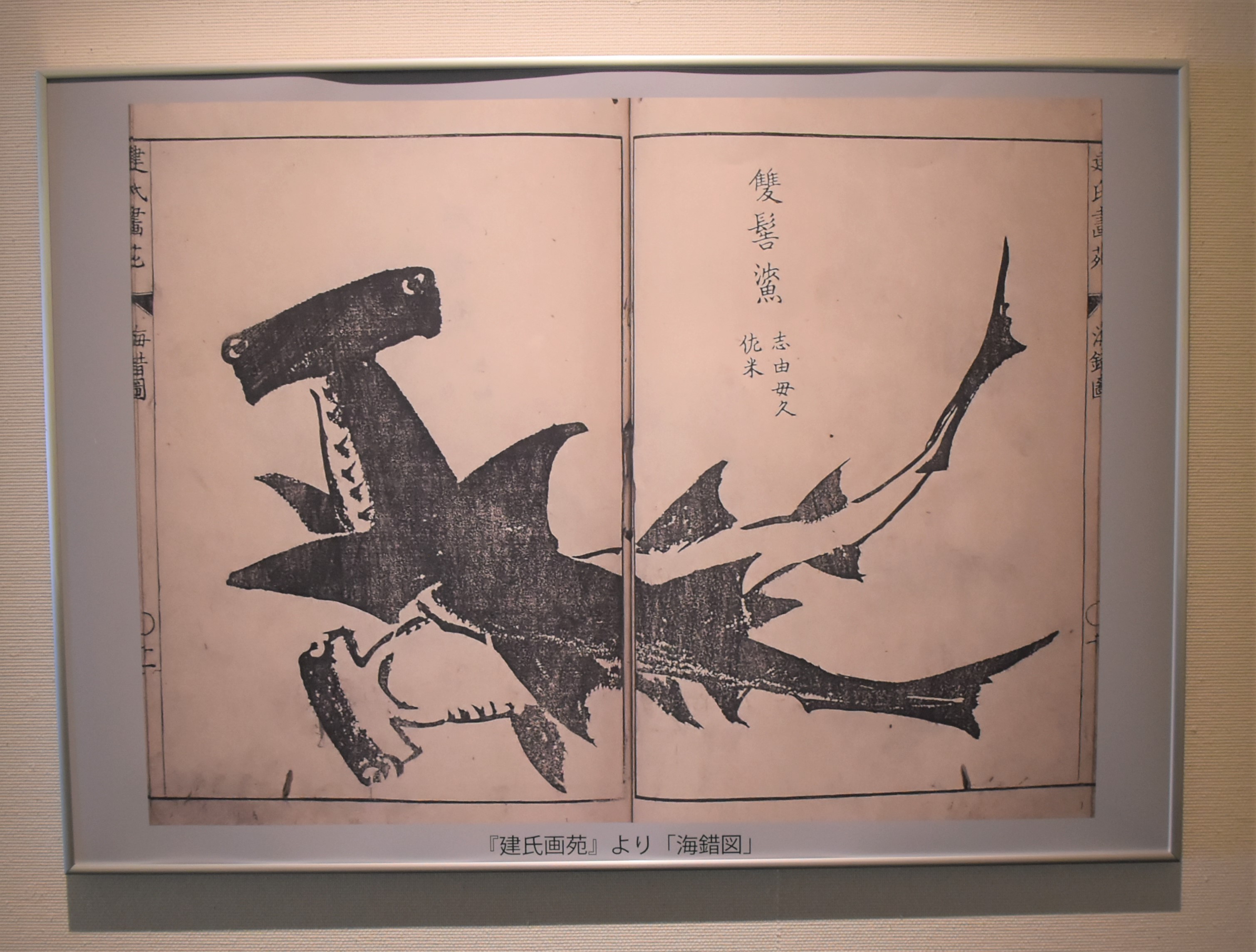 弘前市立博物館企画展「いのちなりけり 没後250年 建部綾足」（2024.12