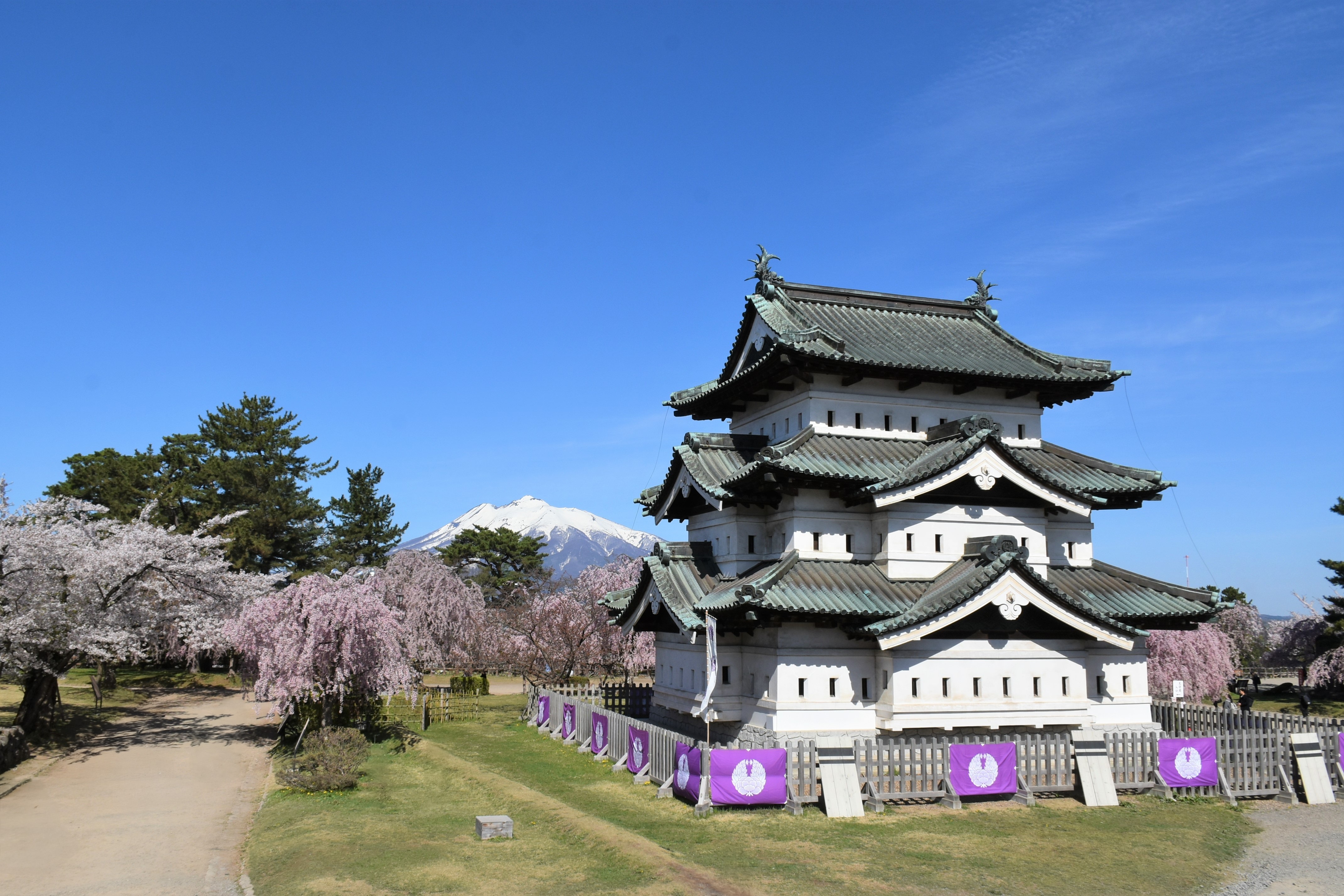 弘前さくらまつり」～今年で最後の春の景色があります～(2025.3.28