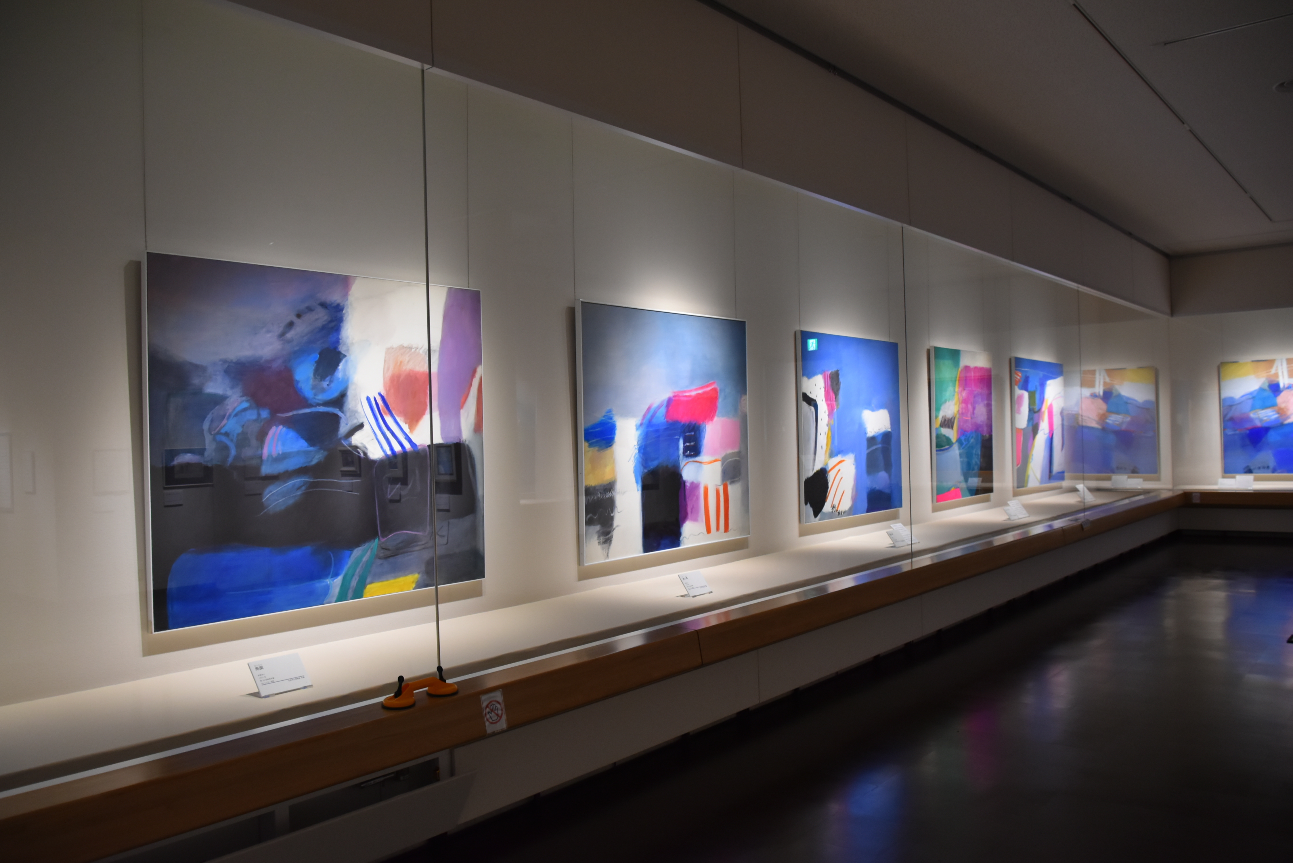 市立博物館企画展3「佐野ぬい追悼展 monochrome、そしてblue