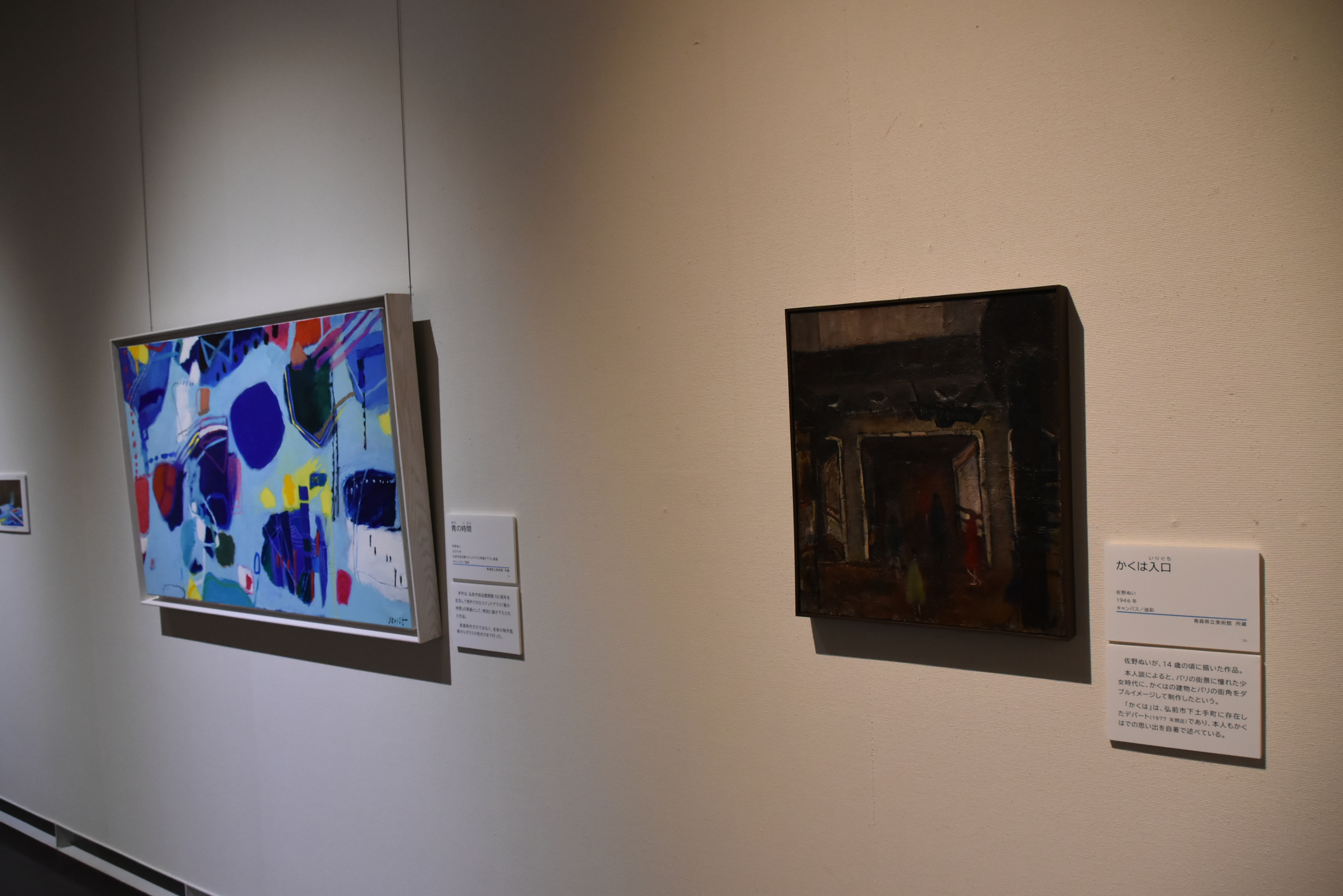 市立博物館企画展3「佐野ぬい追悼展 monochrome、そしてblue