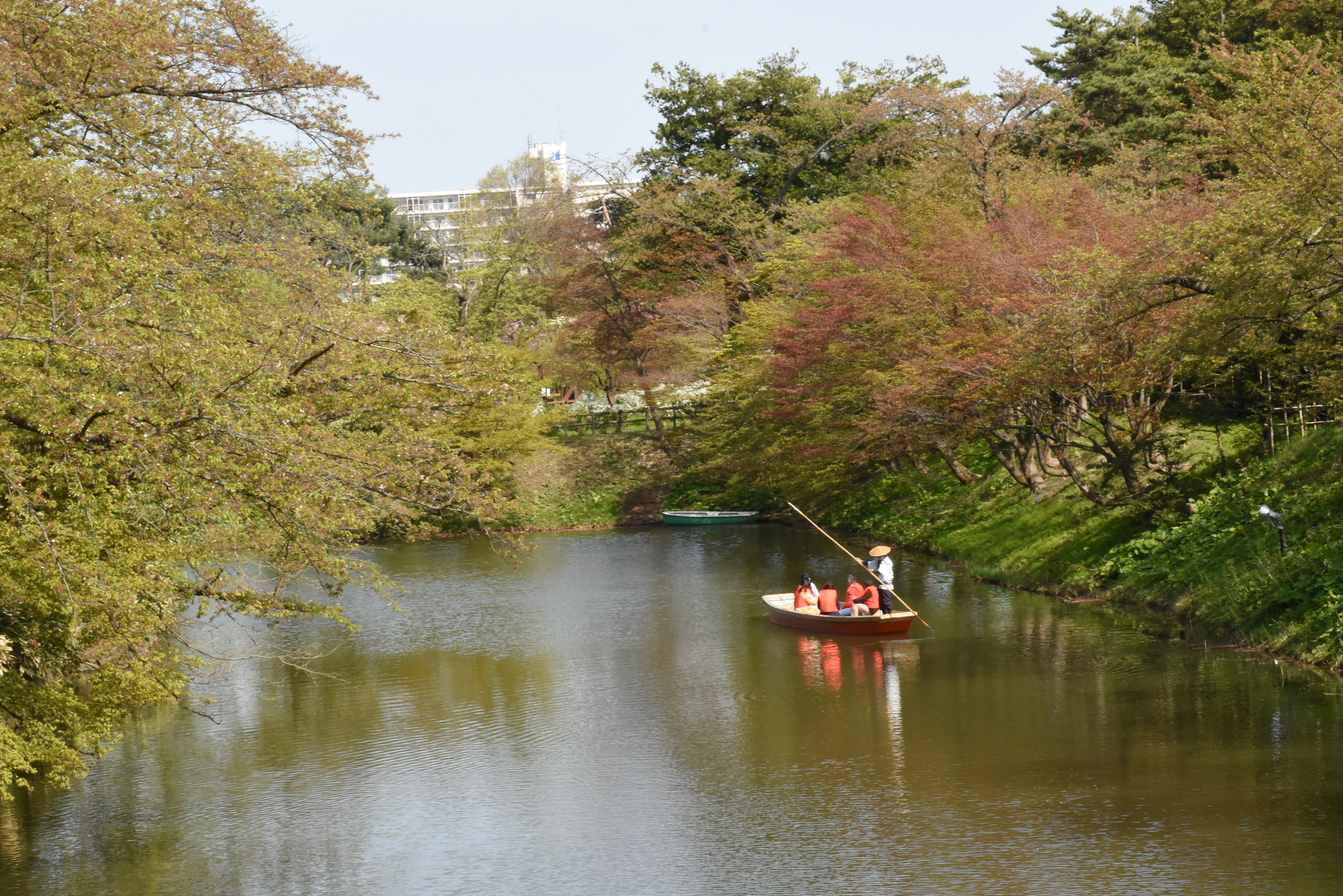 桜 さくら Sakura 様 adidas ZX 8000