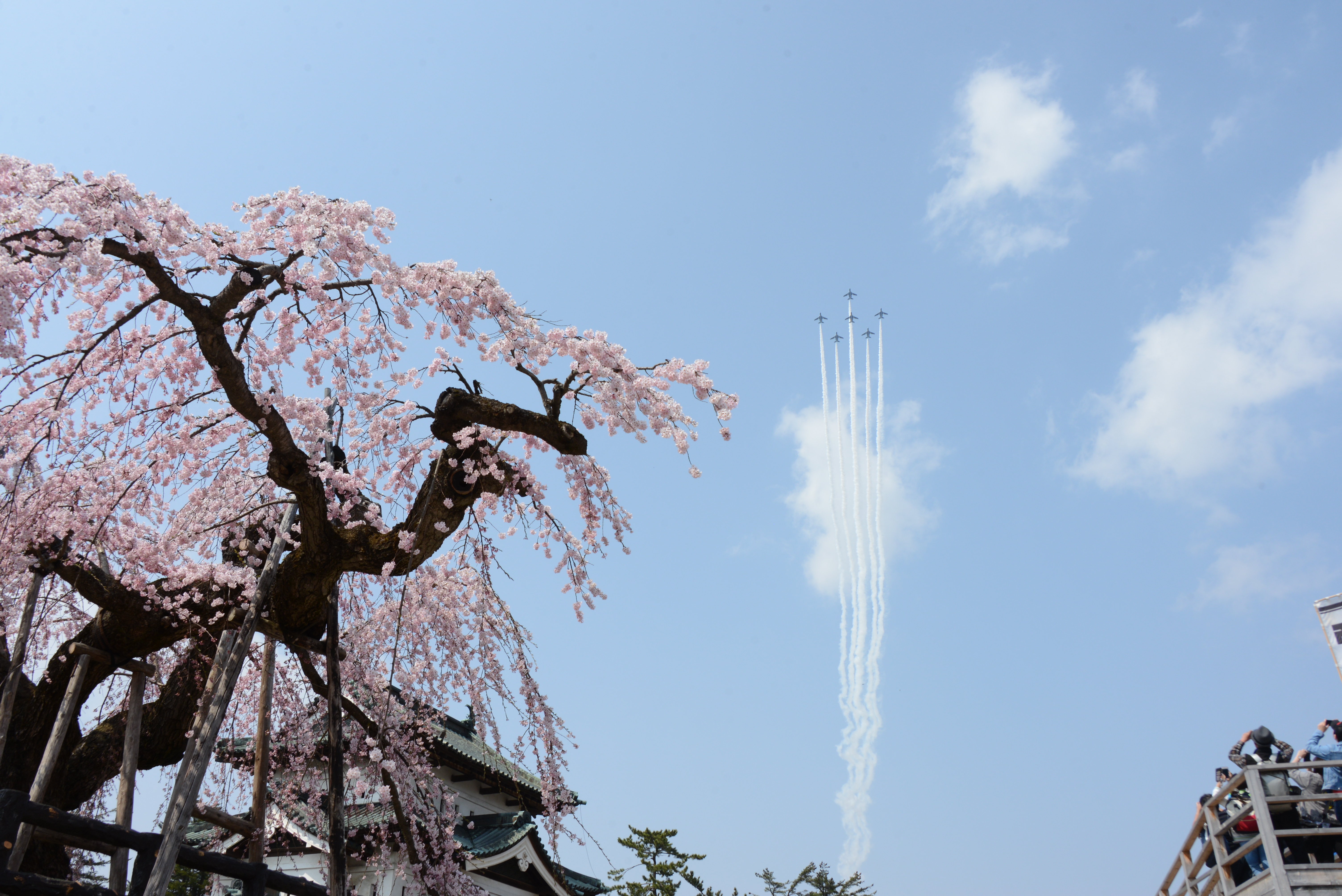 「ブルーインパルス」弘前観桜会100周年祝賀飛行