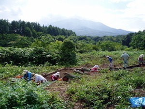 竪穴建物跡の調査風景（2008年、南東から）