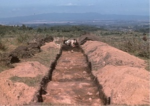 台地を縦貫する試掘坑（1959年、南西から）