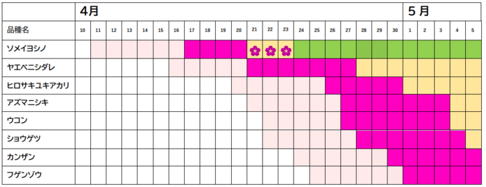 さくらカレンダー