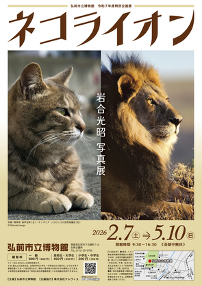 ネコライオン岩合光昭写真展