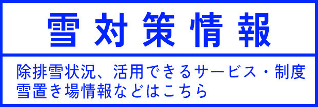 雪対策情報　除排雪状況、活用できるサービス・制度　雪置き場情報などはこちら
