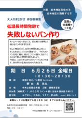 パンチラシ