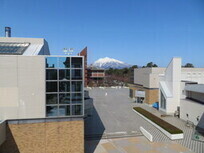 写真：市立観光館