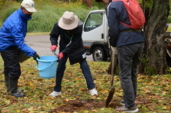 さくらオーナー①