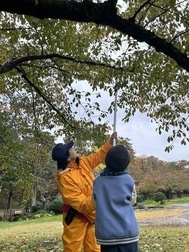 さくらオーナー②