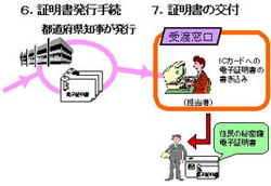 6、都道府県知事名で、証明書発行手続き。7、受け渡し窓口にて証明書を交付